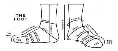Shoe Size Chart D